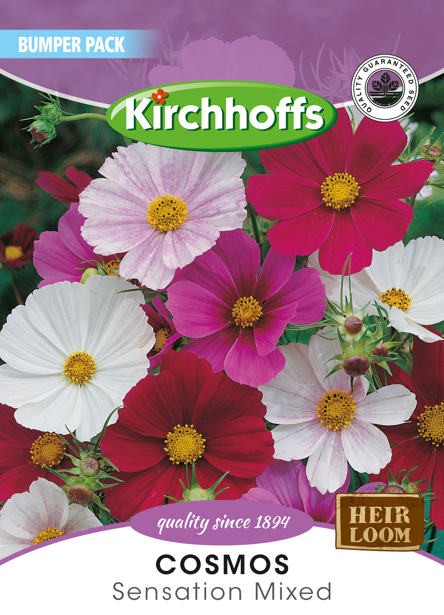 Cosmos Sensation Mixed Seeds Bumper Pack