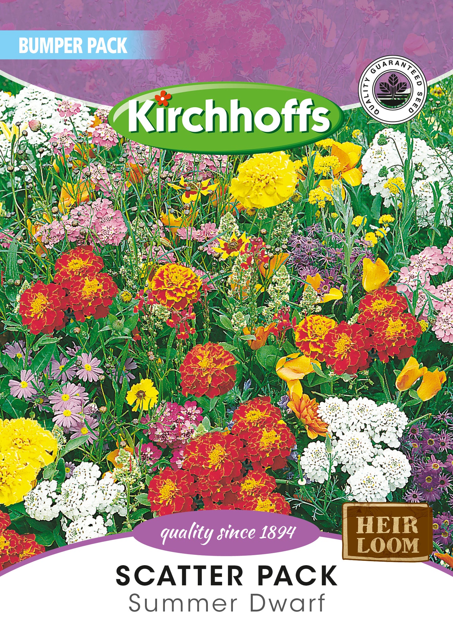 Summer Scatter Pack Dwarf Seeds Bumper Pack
