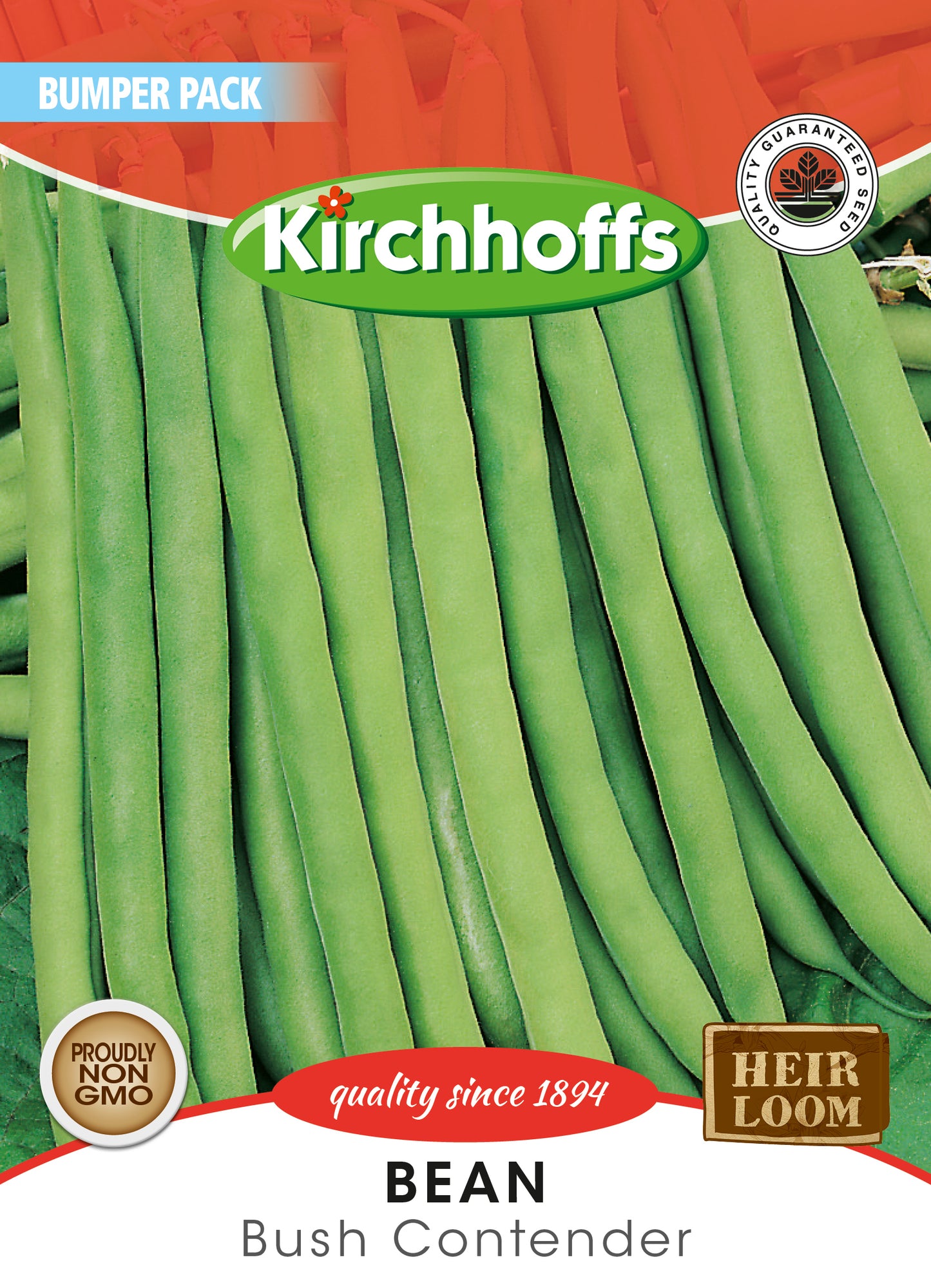 Beans Bush Contender Seeds Bumper Pack