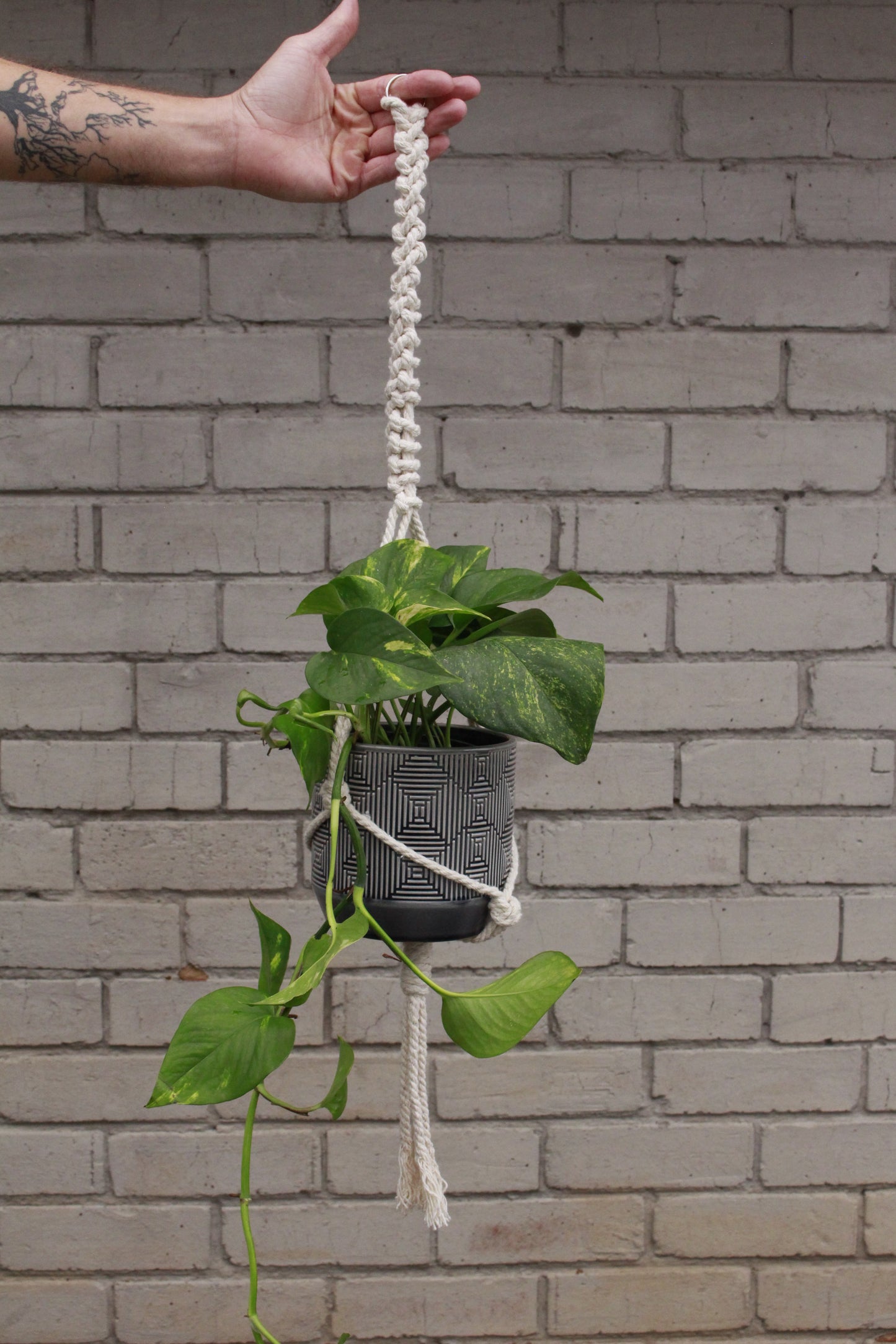 Macrame plant hanger Braided