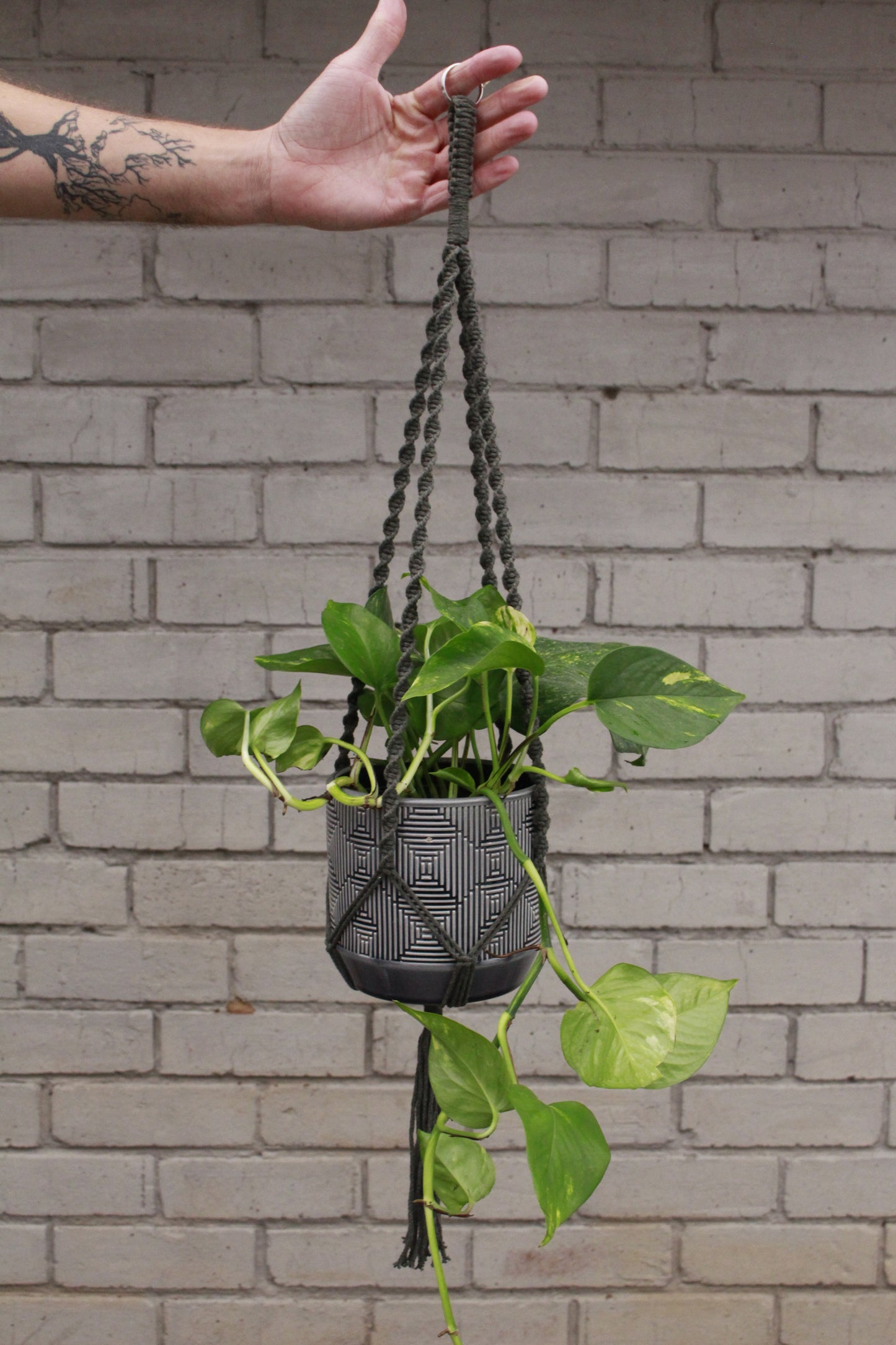 Macrame plant hanger Easy green