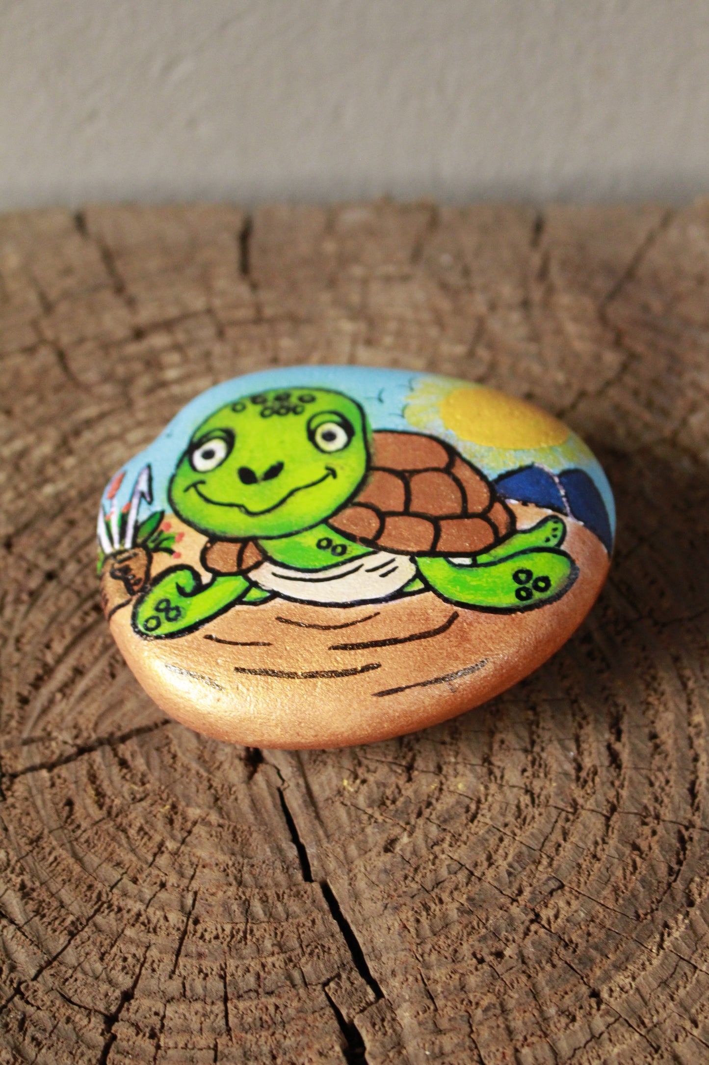 Tortiose Painted Rock