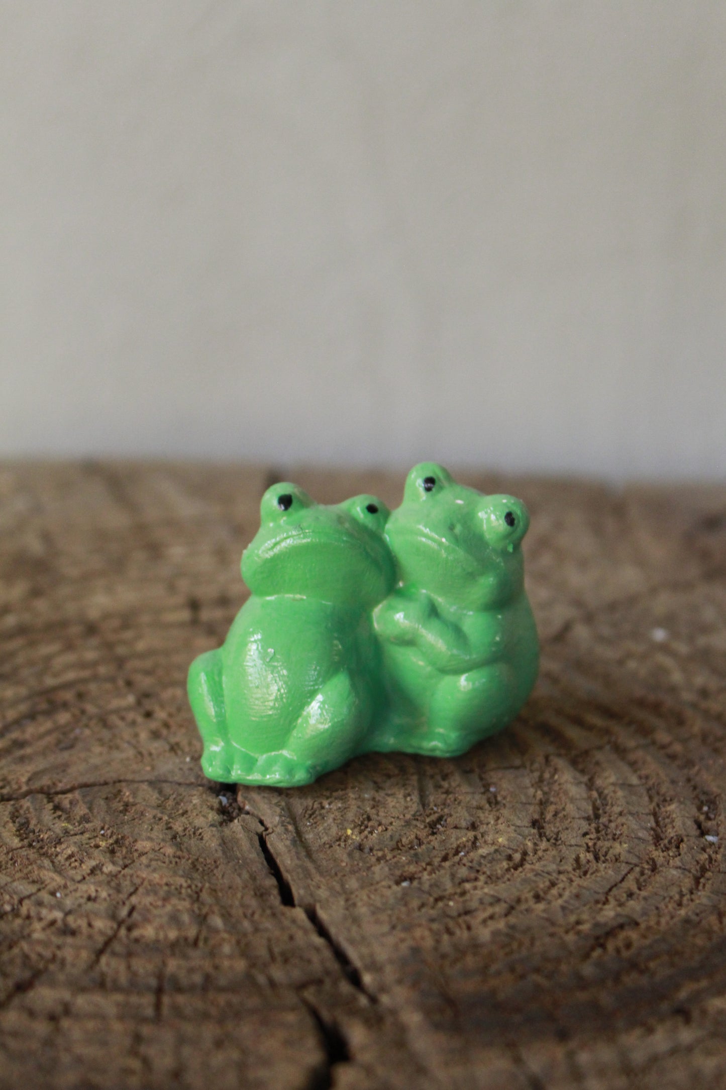 Garden and pot decor Frogs