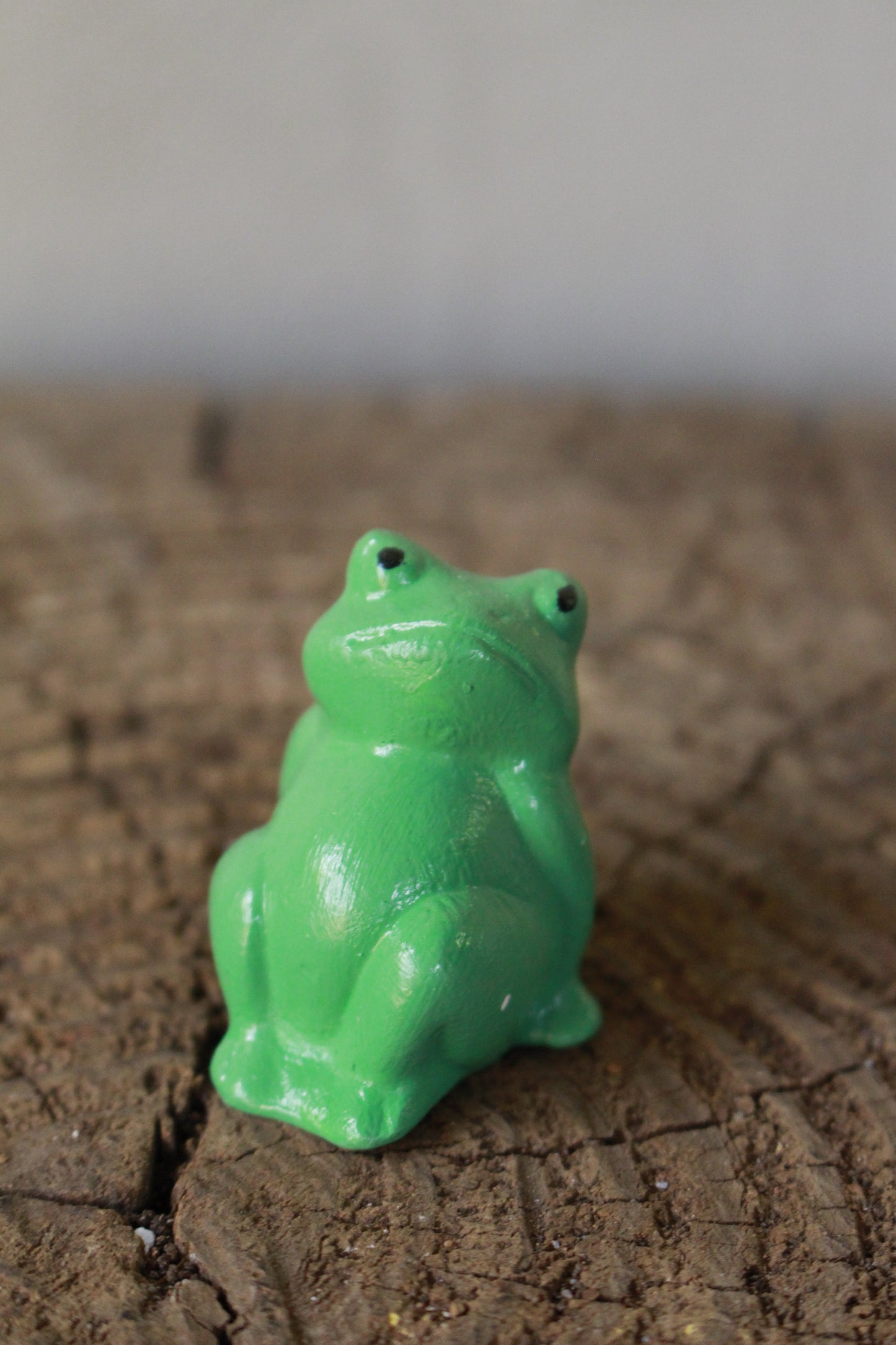 Garden and pot decor Frog
