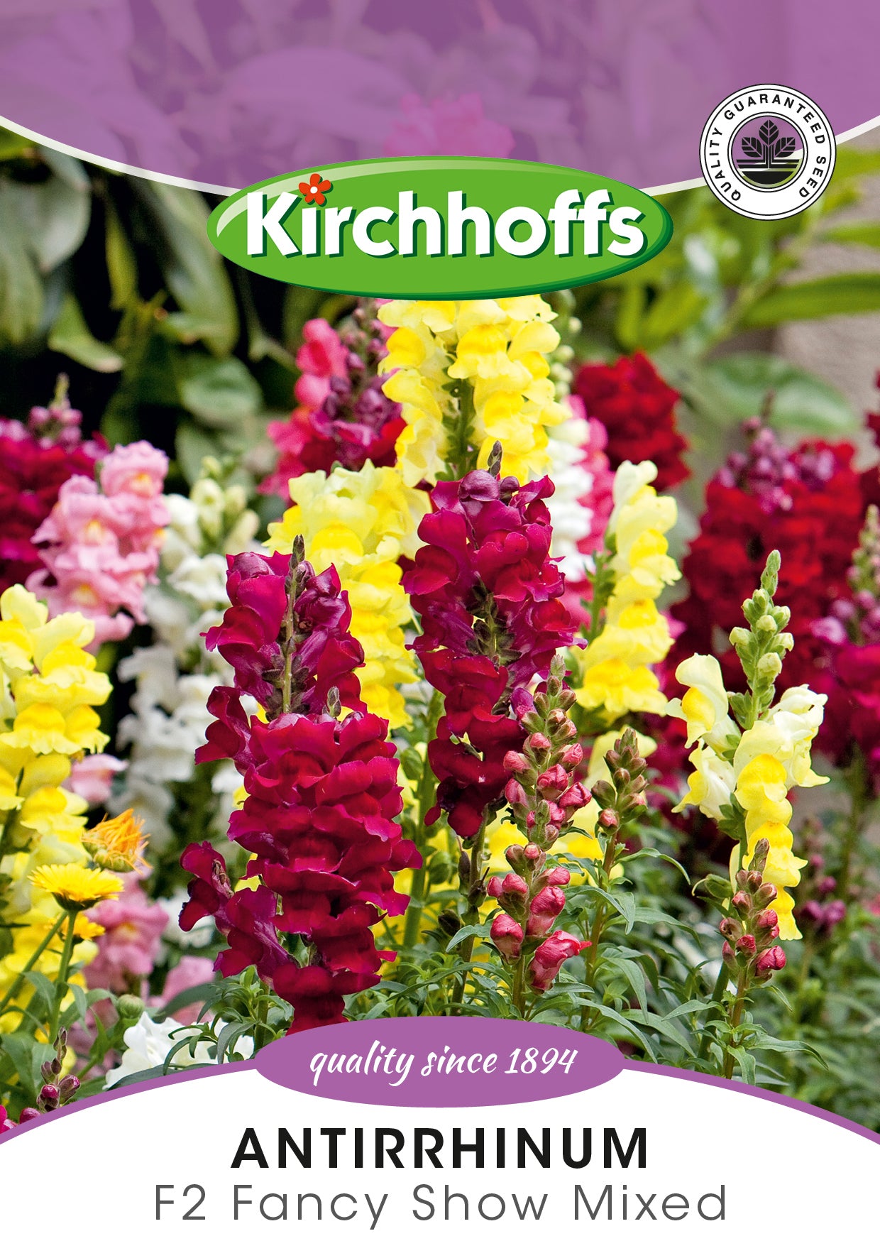 Antirrhinum F2 Fancy Show Mix Seeds