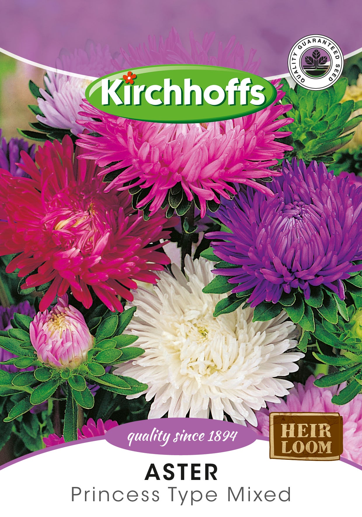Aster Princess Type Mixed Seeds