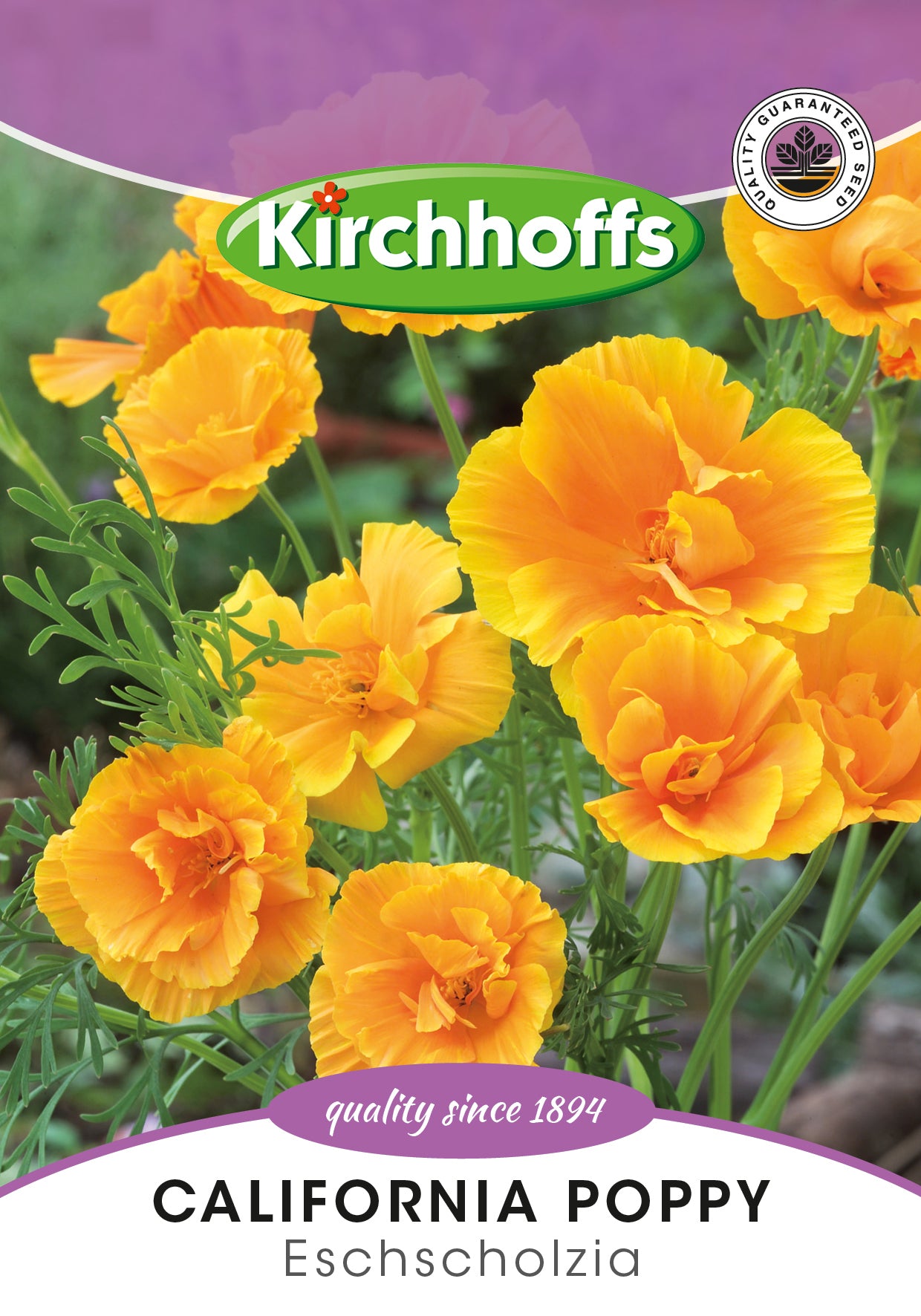 California Poppy Kindergarden Seeds