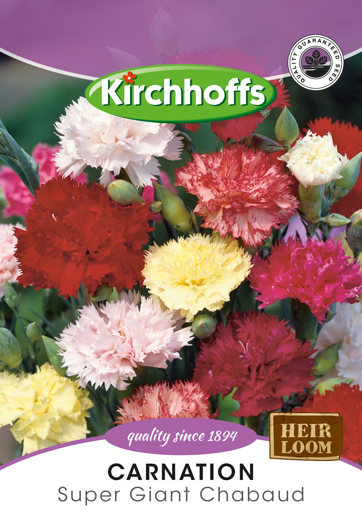 Carnation Super Giant Chabaud Seeds