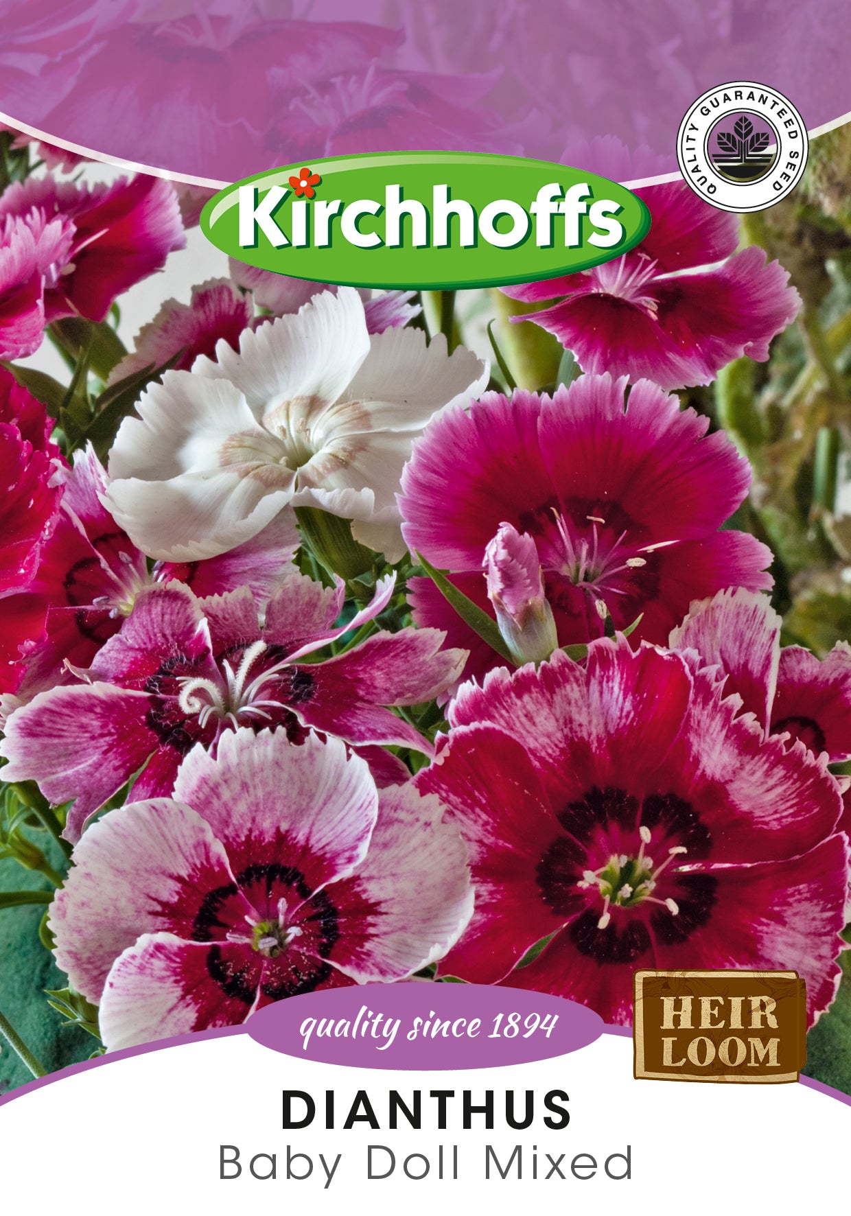 Dianthus Baby Doll Mixed Seeds