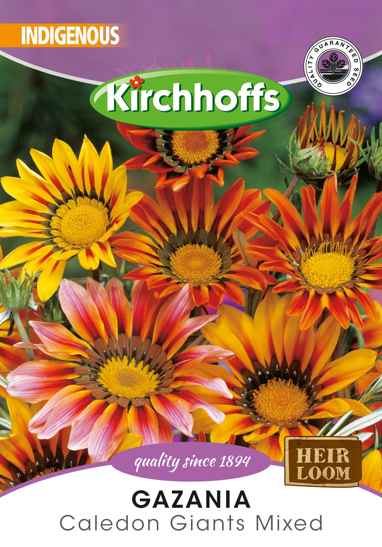 Gazania Caledon Giants Mixed Seeds