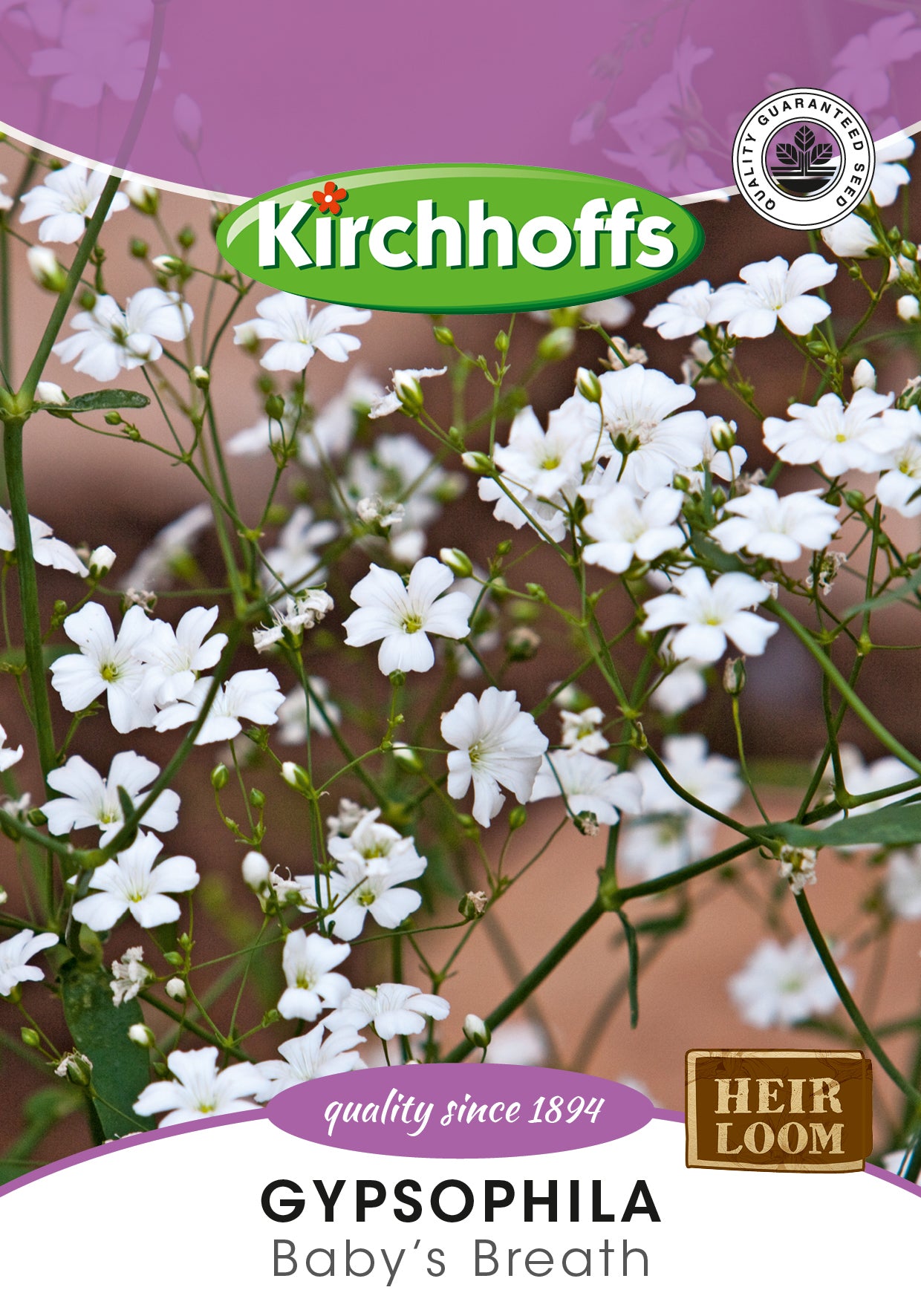 Gypsophila Baby’s Breath Seeds