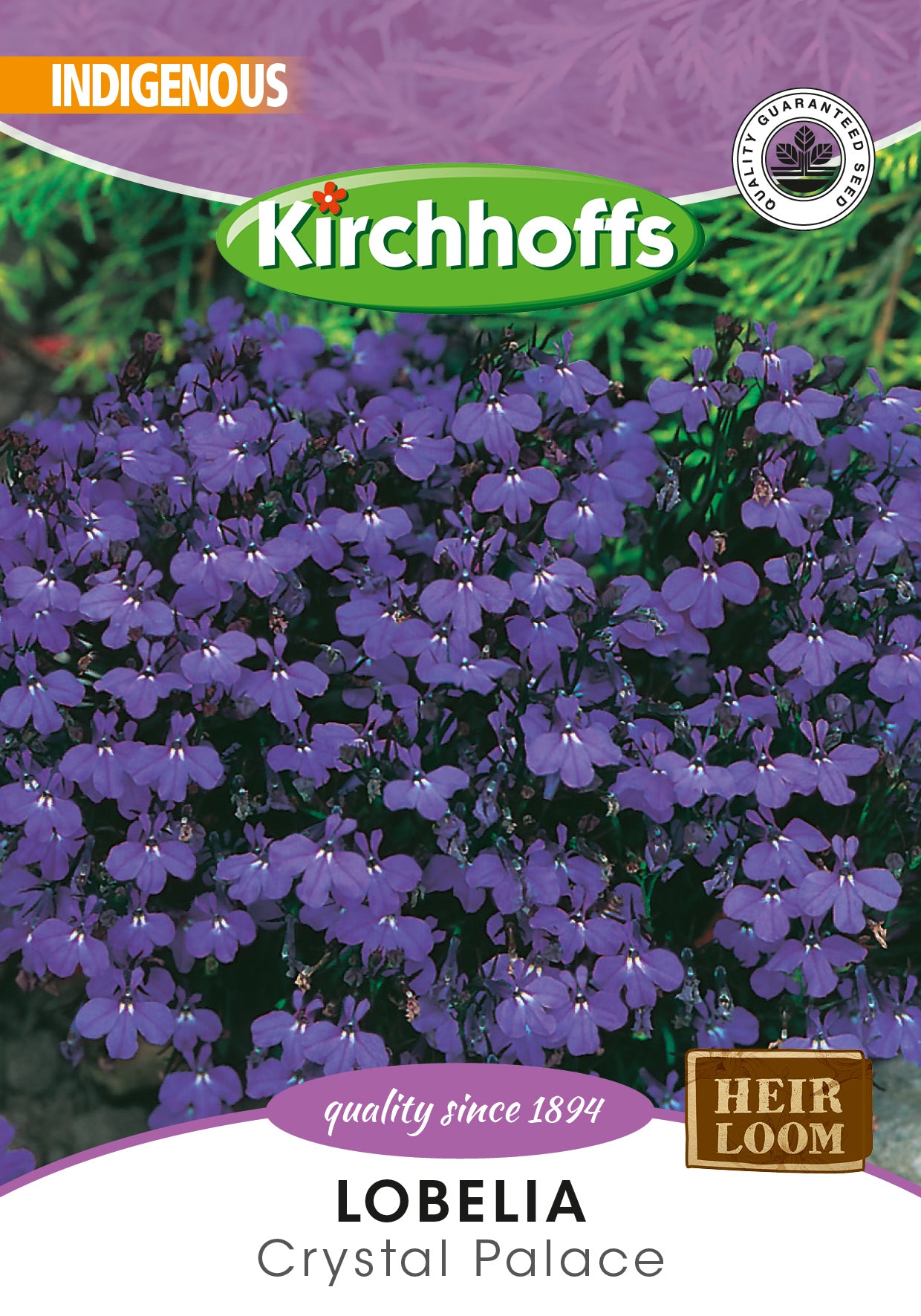 Lobelia Crystal Palace Seeds