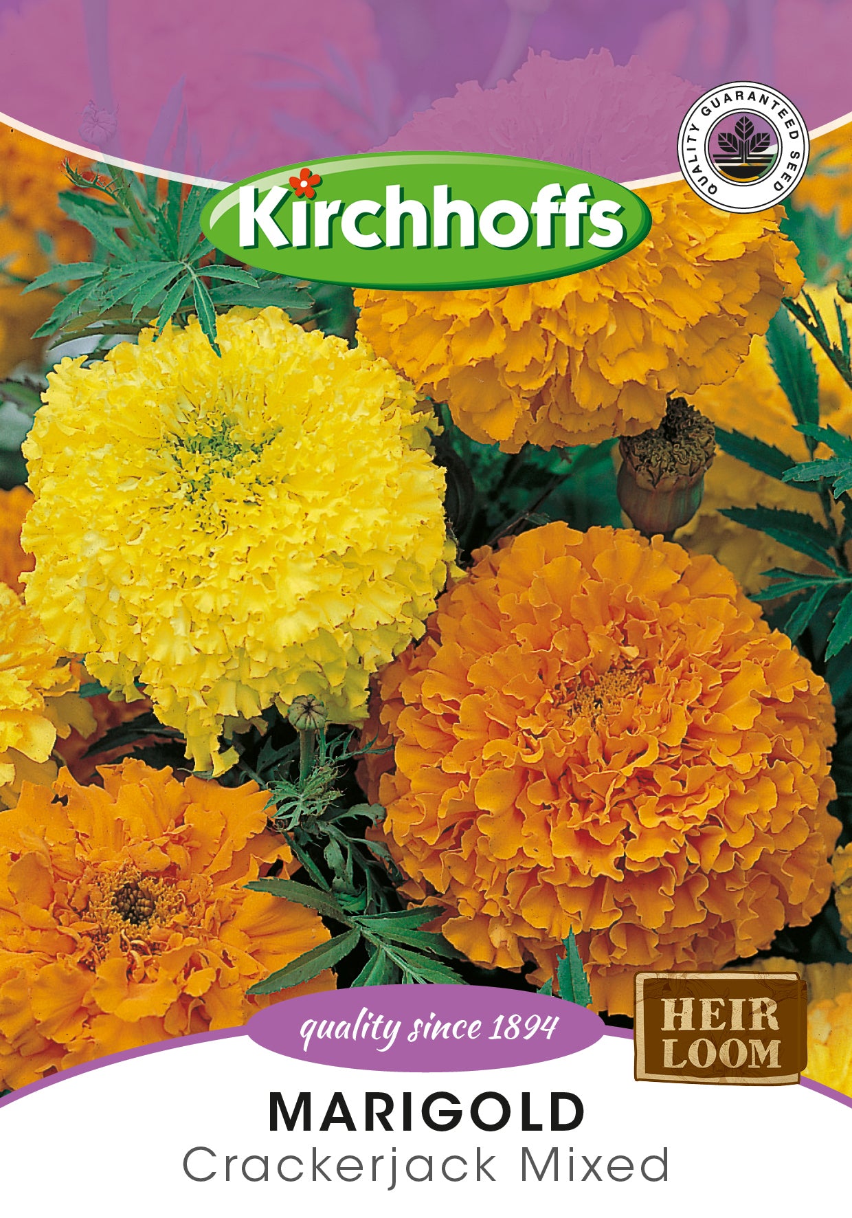 Marigold Sunset Giants /Crackerjack Mixed Seeds