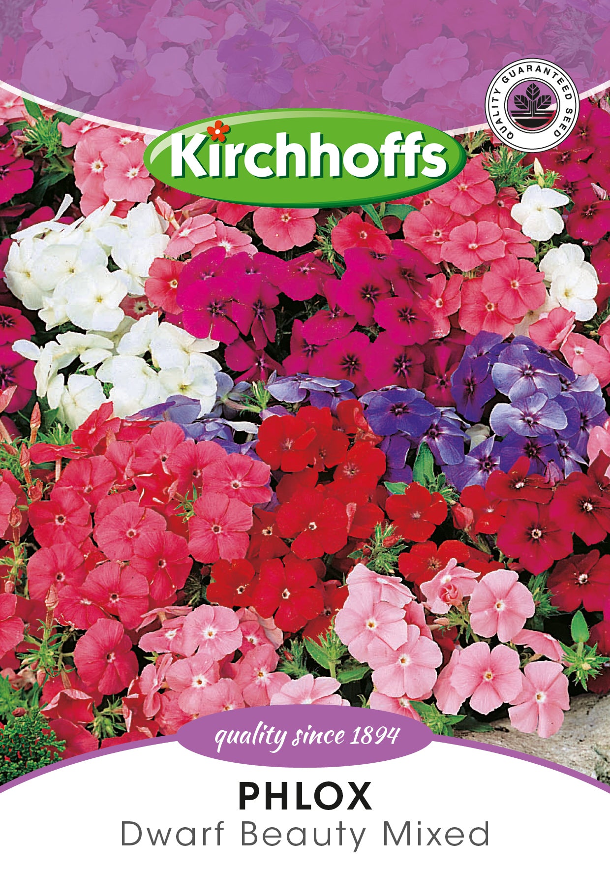 Phlox Dwarf Beauty Mixed Seeds