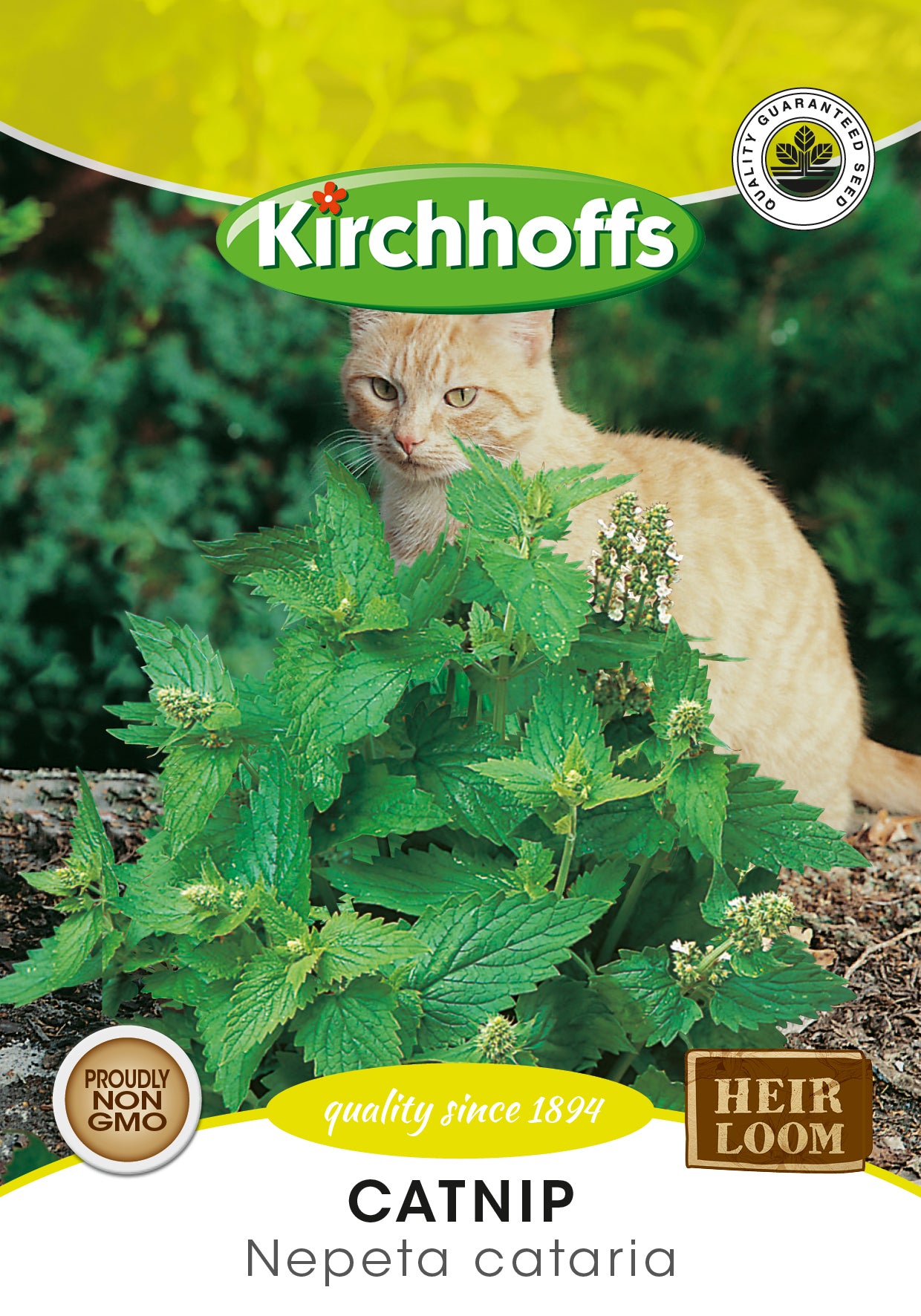 Catnip Seeds