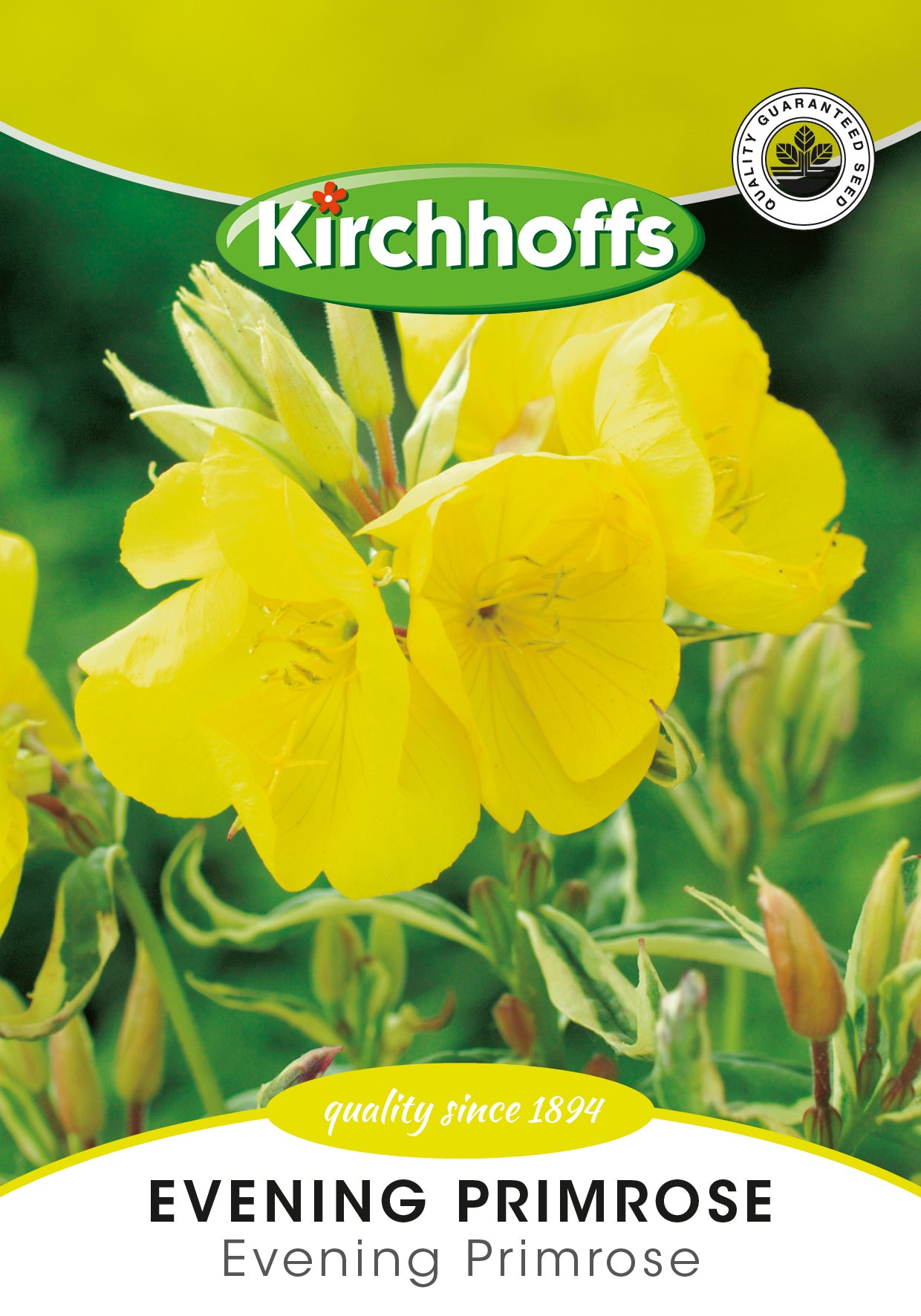 Evening Primrose Seeds