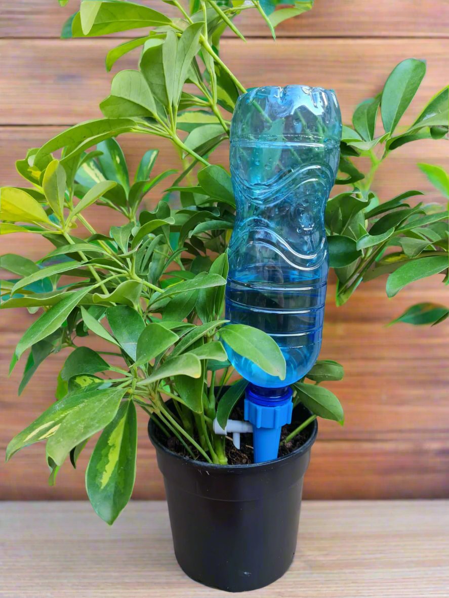 Self Watering Dripper