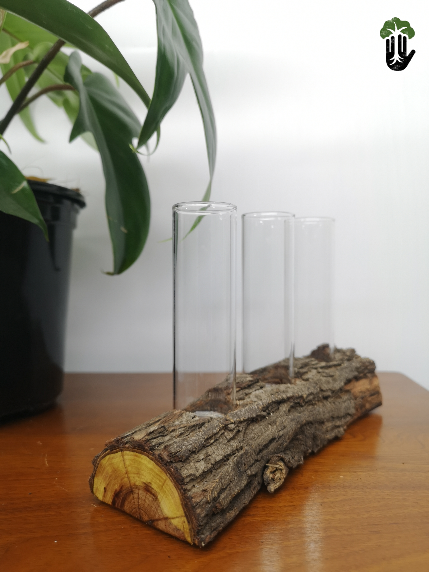 Propagation Station