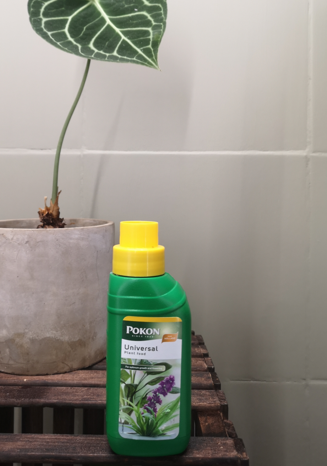 Universal fertiliser - 200ML