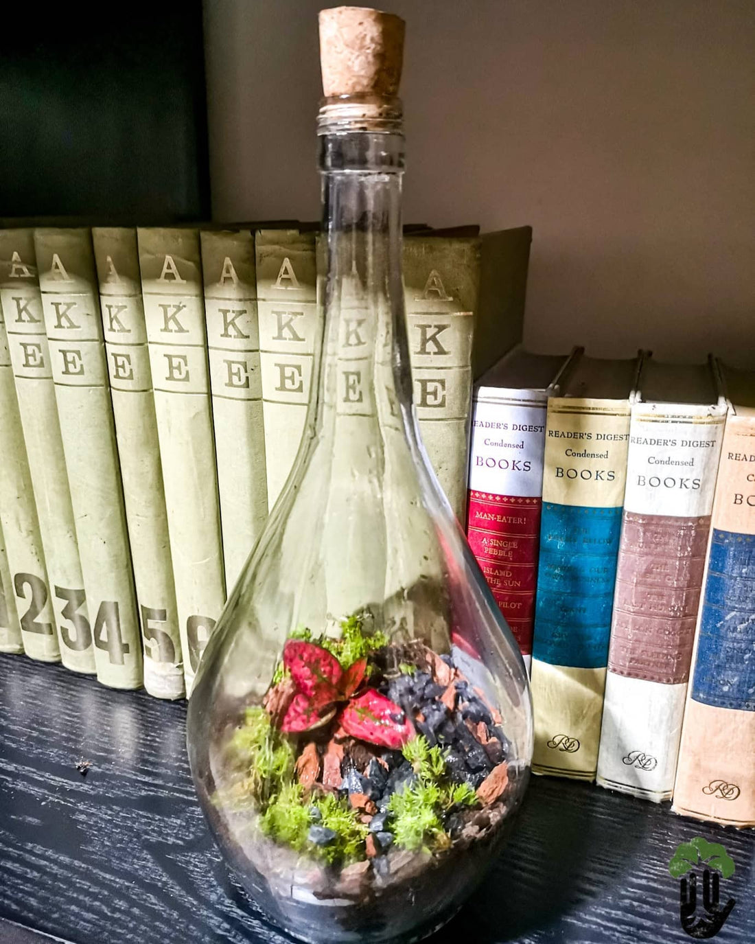 Closed terrarium by i-go-eco