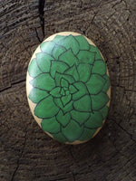 Load image into Gallery viewer, Echeveria Painted Rock
