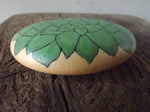 Load image into Gallery viewer, Echeveria Painted Rock
