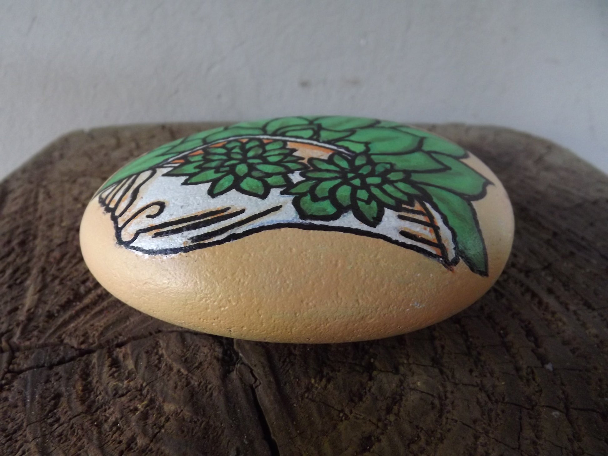 Echeveria with shell Painted Rock