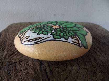 Echeveria with shell Painted Rock