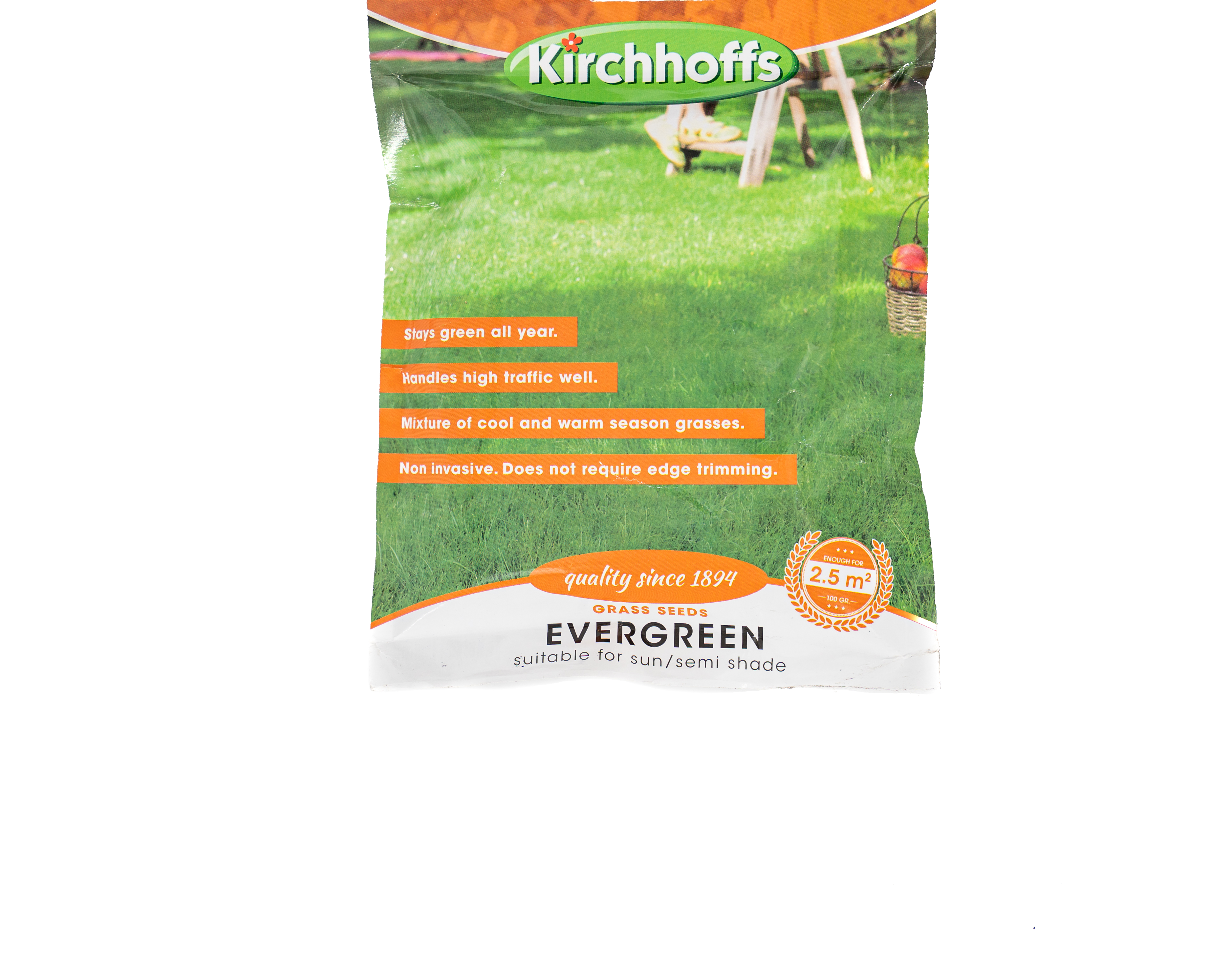 Evergreen grass seeds