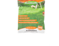 Evergreen grass seeds