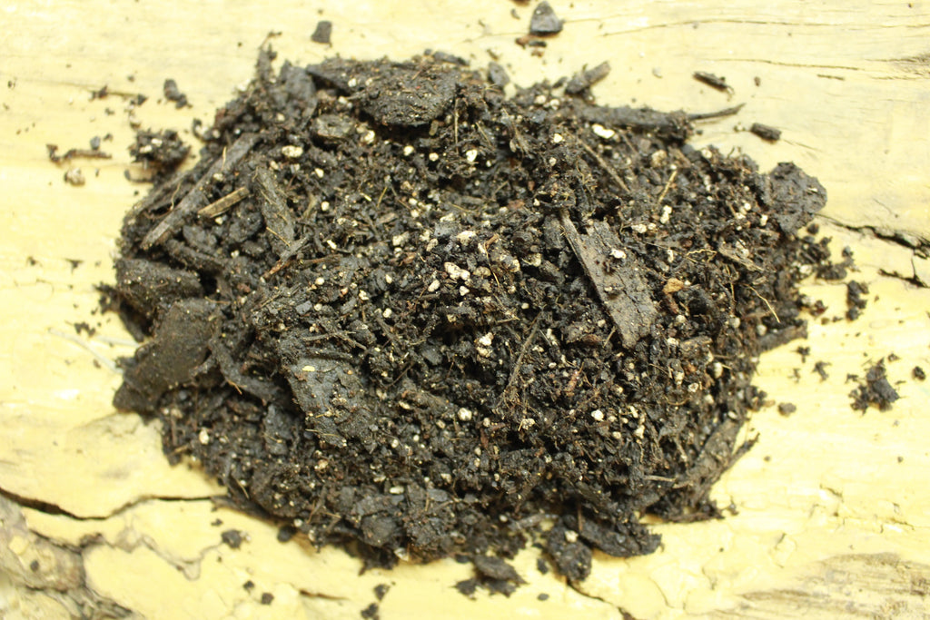 Terrarium soil mix