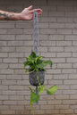Macrame plant hanger Elegant