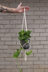 Macrame plant hanger Easy