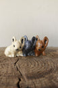 Garden and pot decor Pigs