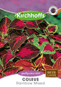 Coleus Rainbow Hybrids Mixed Seeds