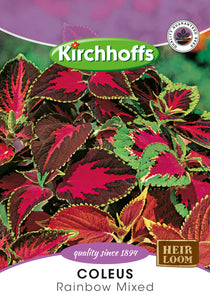 Coleus Rainbow Hybrids Mixed Seeds