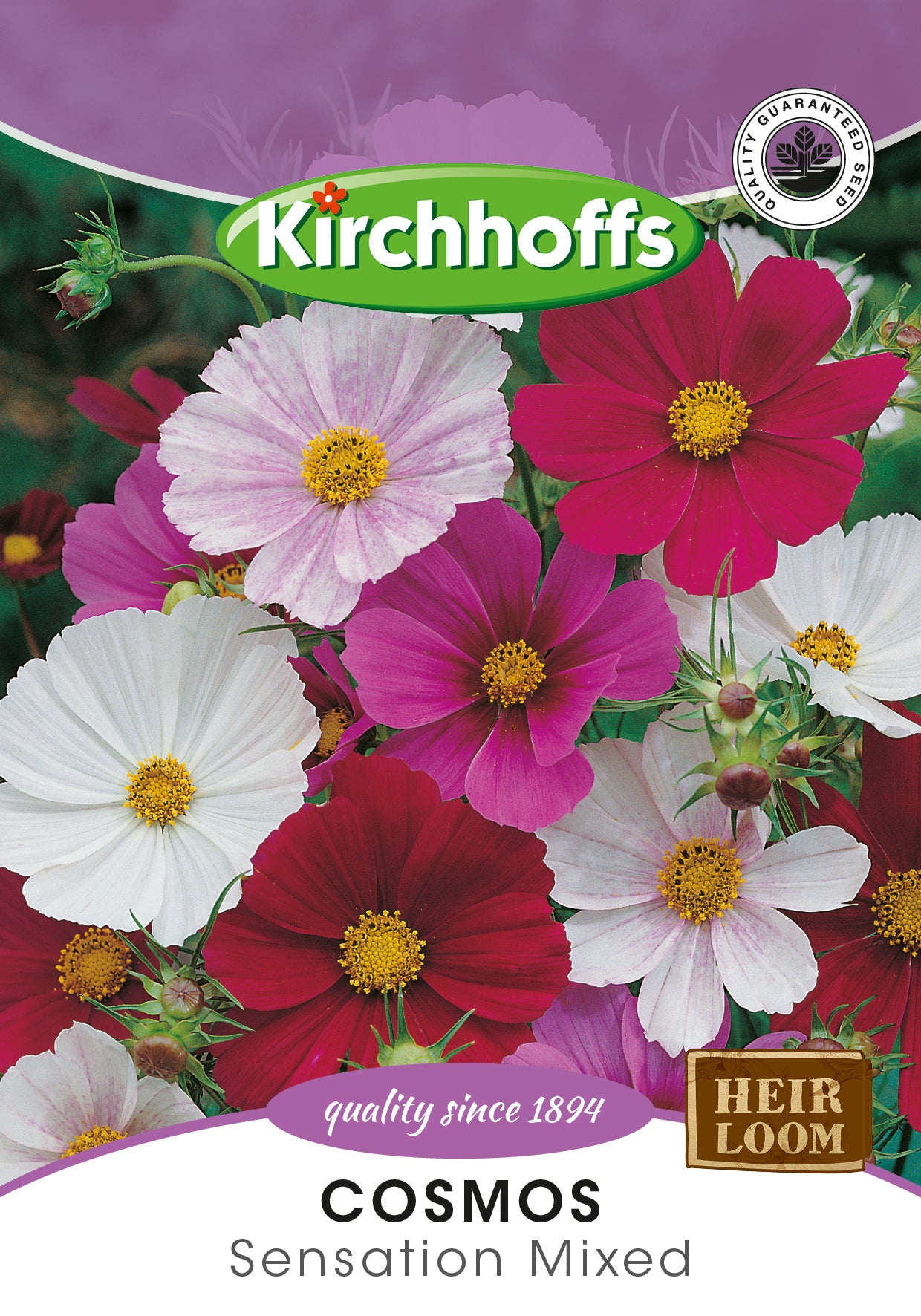 Cosmos Sensation Mixed Seeds