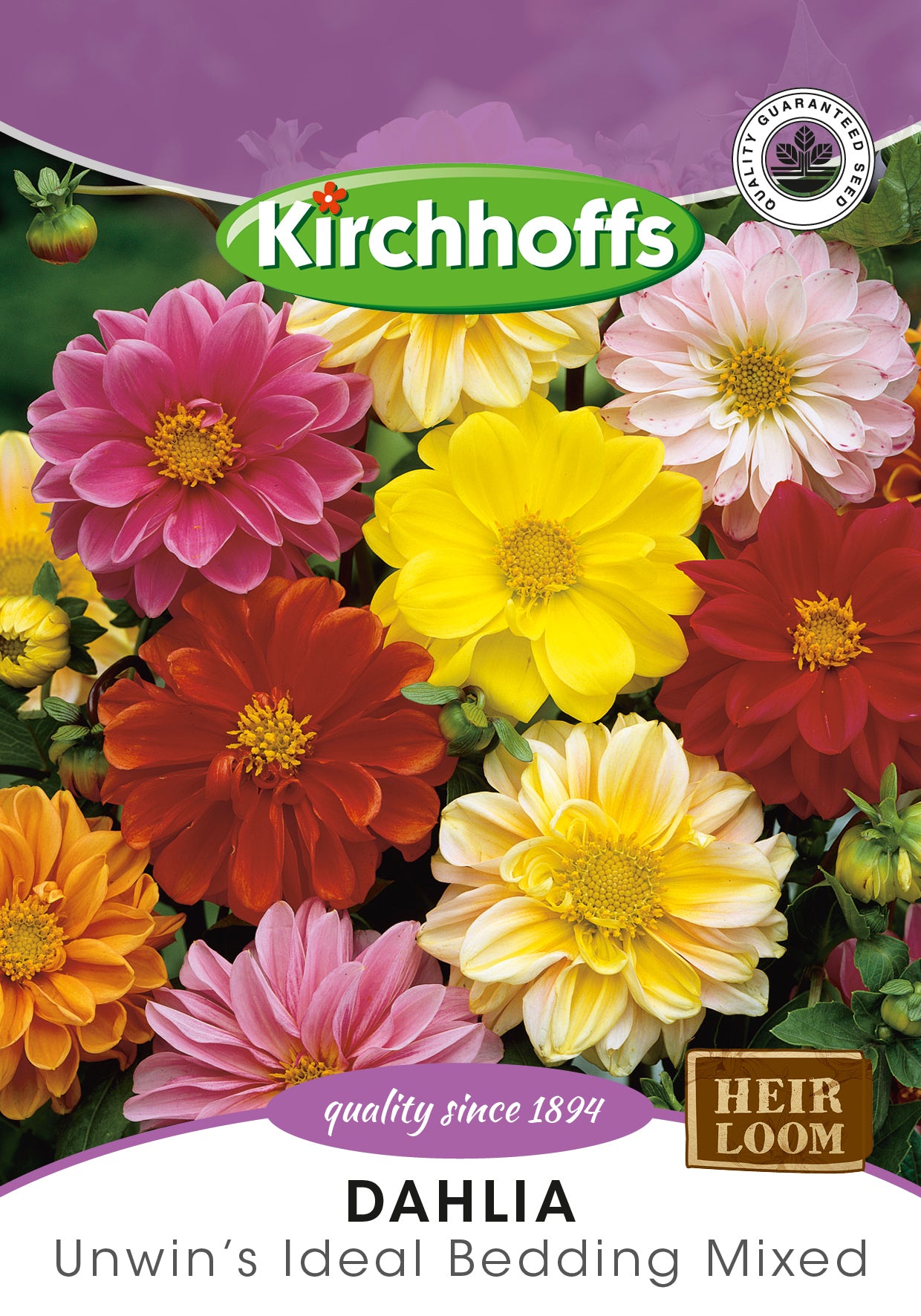 Dahlia Unwin’s Seeds