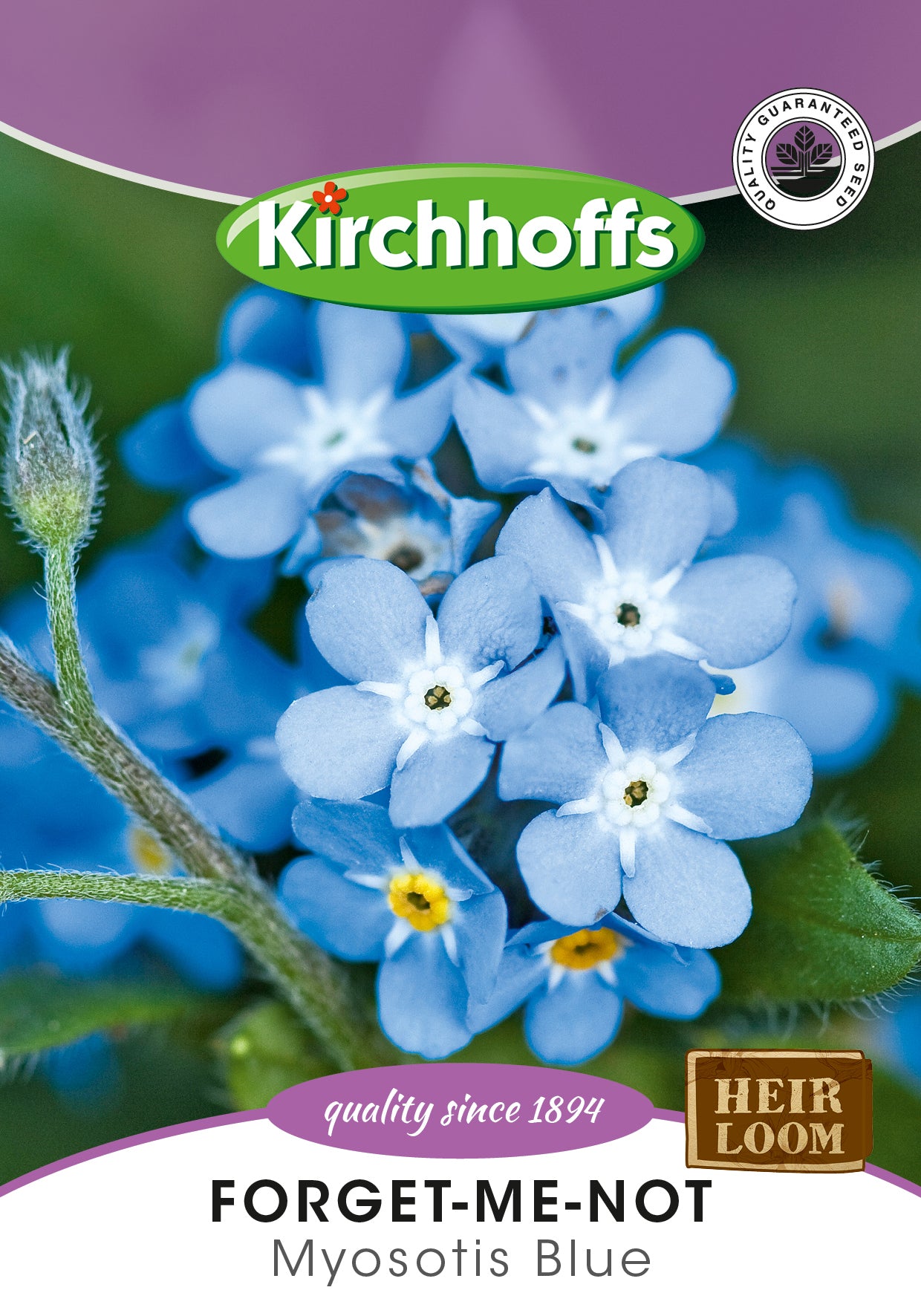 Forget Me Not Myosotis Blue Seeds