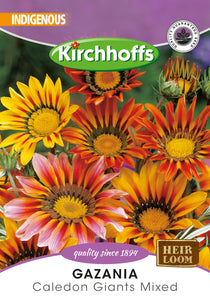 Gazania Caledon Giants Mixed Seeds