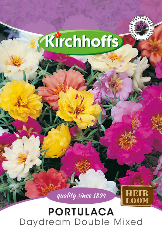 Portulaca Daydream Seeds