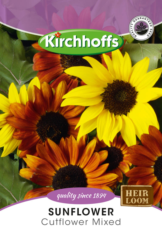 Sunflower Seeds