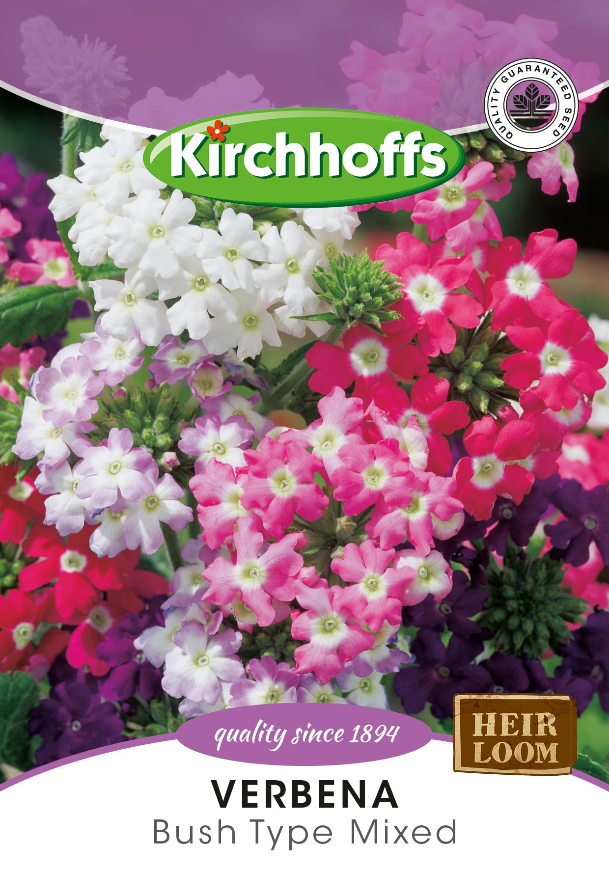 Verbena Seeds
