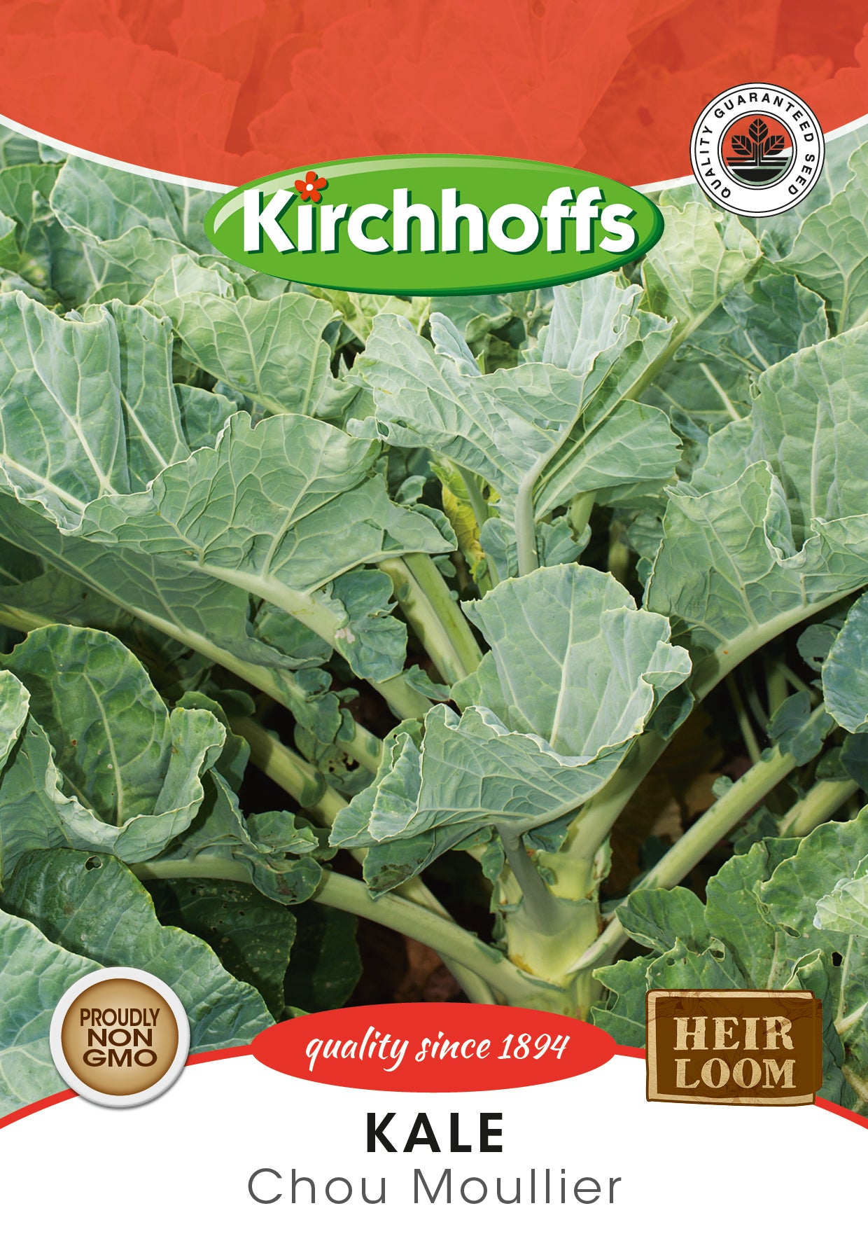 Kale Chou Moullier Thousand Headed Seeds