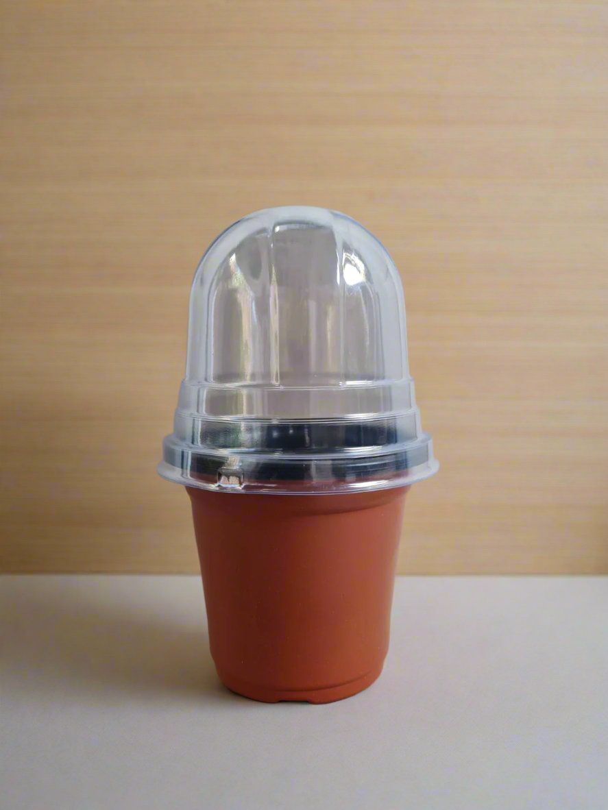 Plastic nursery pot with cover