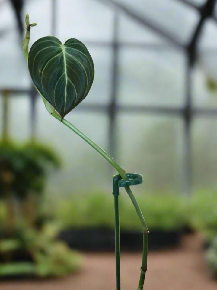 Pot Plant Holder