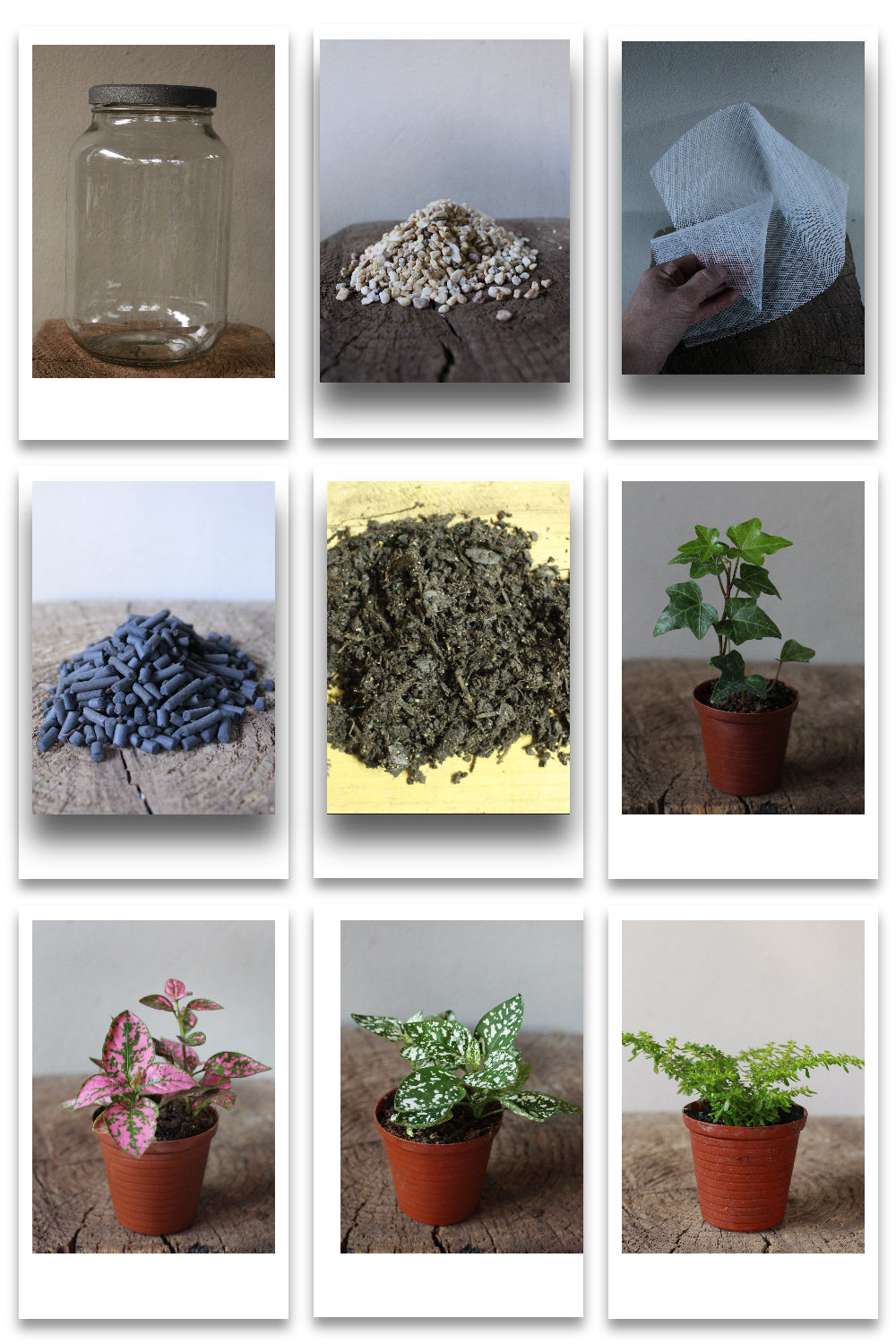 Terrarium kit South Africa