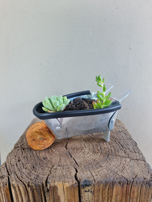 Wheelbarrow Planter