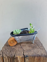 Load image into Gallery viewer, Wheelbarrow Planter
