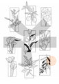 Plant Flash Tattoo